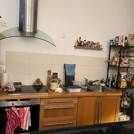 Large Parisian Duplex Gasthuis *